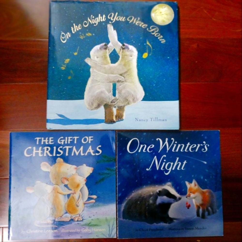 Lot of Three Children's Winter Books